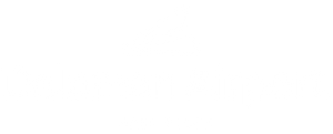 Dalaman Airport Fast Track